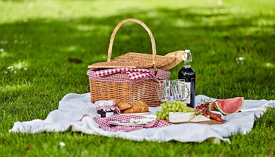 tour_picnic_1486594205.jpg