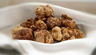tours/tour_tartufo_1452250226.jpg