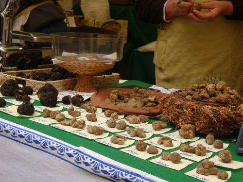 A Sasso Marconi cinque giorni di festa dedicati al tartufo bianco dei Colli Bolognesi